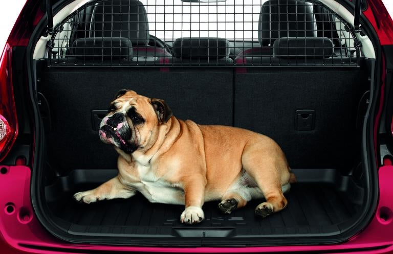 Dog Guard / Trunk Separator